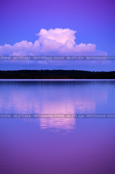 Lake in the evening. Стоковое фото, фотограф Анна Кривицкая / Фотобанк Лори