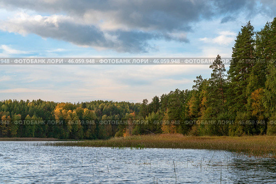 Lake Ladoga near the village Lumivaara on a sunny autumn day, Ladoga skerries, Lakhdenpokhya, Republic of Karelia, Russia. Стоковое фото, фотограф Ula Ulachka / Фотобанк Лори