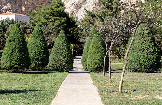 Landscape gardening design in spring park. Стоковое фото, фотограф Татьяна Ляпи / Фотобанк Лори