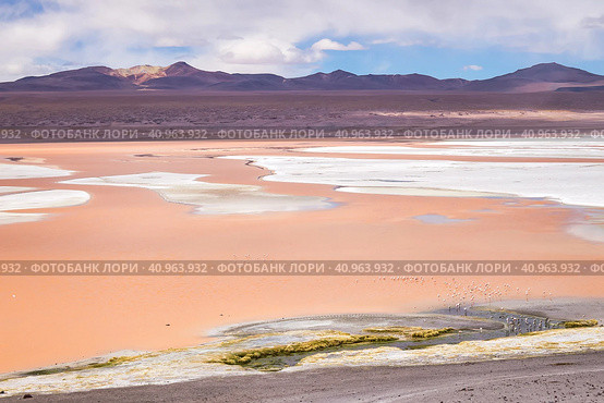 Landscape photo of Laguna Colorada red lake with dry vegetation and geysers at Andes mountains. Scenery view of Bolivia in natural wilderness. Bolivian nature landmarks concept. Copy ad text space (2016 год). Стоковое фото, фотограф Aleksandr Golubev / Фотобанк Лори