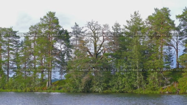 landscape with river and forest in Karelia. Стоковое видео, видеограф Михаил Коханчиков / Фотобанк Лори