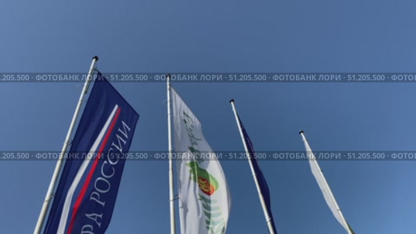 Ландшафтный дизайн на фестивале "Лето в русском огороде" 2025. Флаги колышутся на ветру на фоне чистого неба. Редакционное видео, видеограф Владимир Шипикин / Фотобанк Лори