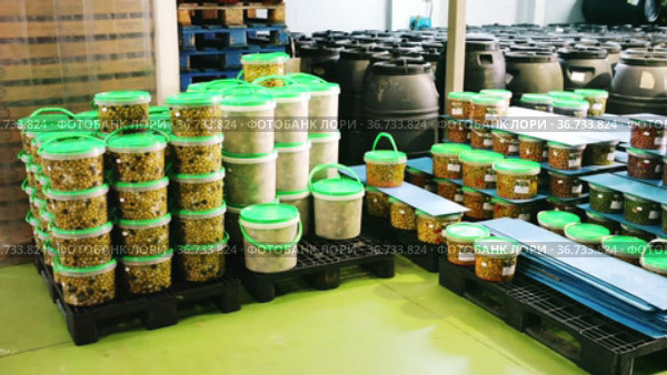 Large assortment of pickled olives in plastic buckets and jars stacked on pallets on artisanal pickles factory. Стоковое видео, видеограф Яков Филимонов / Фотобанк Лори