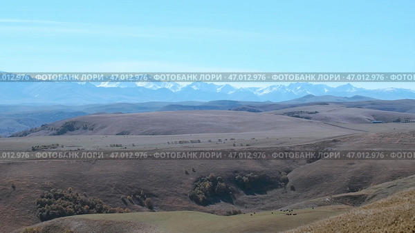 Large hilly expanses on the road where a tractor rides against the blue sky. Стоковое фото, фотограф David Kashakhi / Фотобанк Лори