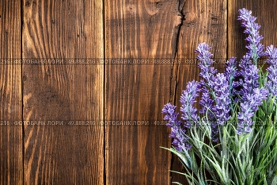 lavender. Стоковое фото, агентство Ingram Publishing / Фотобанк Лори