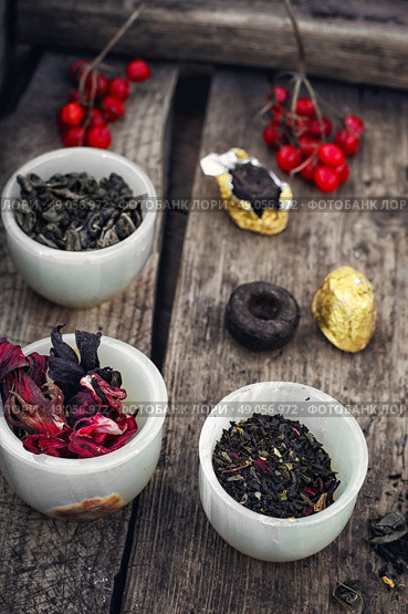 leaves of the tea bush. Стоковое фото, агентство Ingram Publishing / Фотобанк Лори