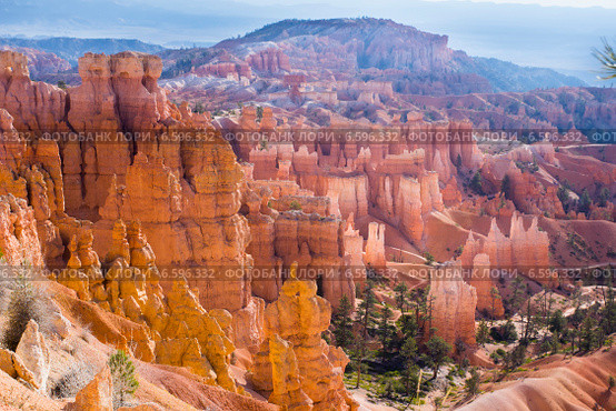 Лес скал.  Национальный парк Брайс-Каньон (англ. Bryce Canyon National Park) (2014 год). Стоковое фото, фотограф Ирина Кожемякина / Фотобанк Лори
