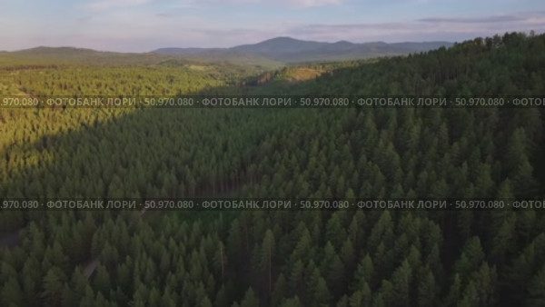 Лес в горах на закате. Стоковое видео, видеограф Степан Столбовский / Фотобанк Лори