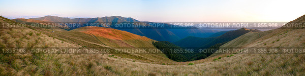 Летнее утро, горная панорама, Украина, Карпаты. Стоковое фото, фотограф Юрий Брыкайло / Фотобанк Лори
