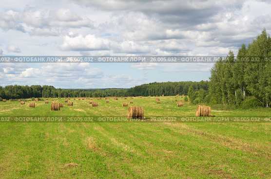Летний сельский пейзаж с рулонами соломы в поле. Стоковое фото, фотограф Елена Коромыслова / Фотобанк Лори