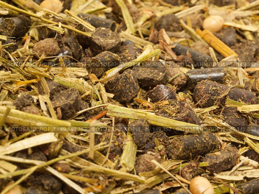 ligth muesli  with herbs for horse background. macro. Стоковое фото, агентство Ingram Publishing / Фотобанк Лори