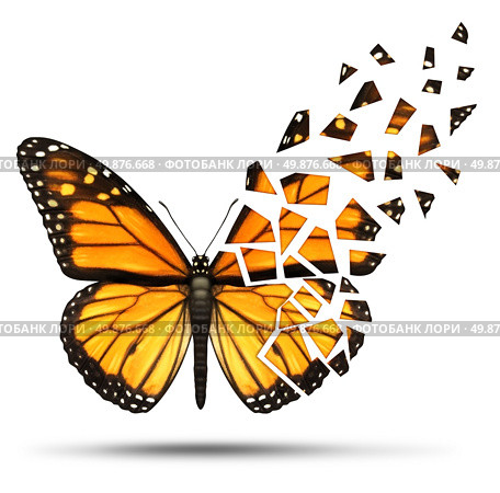Loss of mobility and degenerative health loss concept and losing freedom from mobiliy due to injury ormedical disease represented by a monarch butterfly  with broken and fading wings on a white background. Стоковое фото, агентство Ingram Publishing / Фотобанк Лори