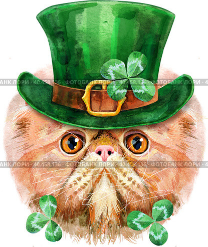 Lovely closeup portrait of Exotic Shorthair cat in a leprechaun hat with clover leaves. Hand drawn water colour painting on white background. Стоковая иллюстрация, иллюстратор Наталья Андрейченко / Фотобанк Лори