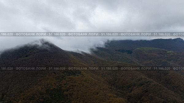 Low clouds covering forested mountains in Navarre, Spain. Стоковое фото, фотограф Данил Руденко / Фотобанк Лори