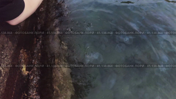 Люди играют с медузами вдоль пирса уходящего в Чёрное море.  People play with jellyfish along the pier stretching into the Black Sea. Стоковое видео, видеограф Станислав Типляшин / Фотобанк Лори