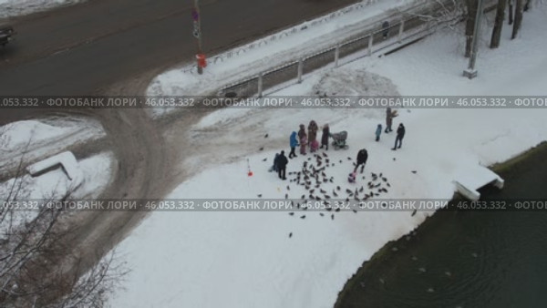 Люди кормят уток и голубей зимой в парке Железнодорожников - город Киров (аэросъемка 2021 года) Стоковое видео, видеограф Владислав Самошкин / Фотобанк Лори