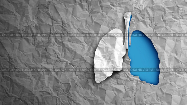 Lungs health and pulmonology as a respiratory medicine conept for pulmonary science and lung cancer or respiration disease and bronchi breathing or asthma symbol in a 3D illustration style. Стоковое фото, агентство Ingram Publishing / Фотобанк Лори