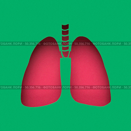 lungs made out paper. Стоковое фото, агентство Ingram Publishing / Фотобанк Лори