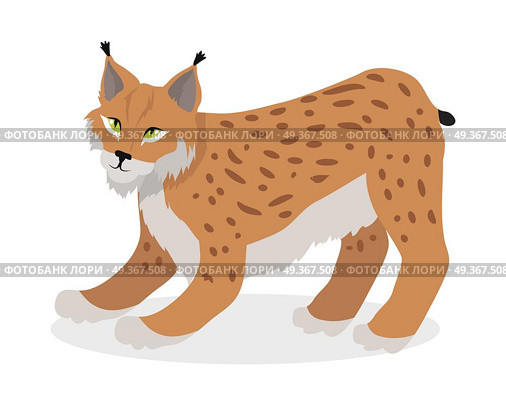 Lynx, Bobcat, Wildcat Isolated on White Cat family. Lynx, bobcat, wildcat isolated on white. Cat family member. Lynx genus of medium-sized wild cats. Felids. Pantherinae jaguar, leopard. Caracal, Jungle cat. Flat style. Vector illustration. Стоковая иллюстрация, агентство Ingram Publishing / Фотобанк Лори