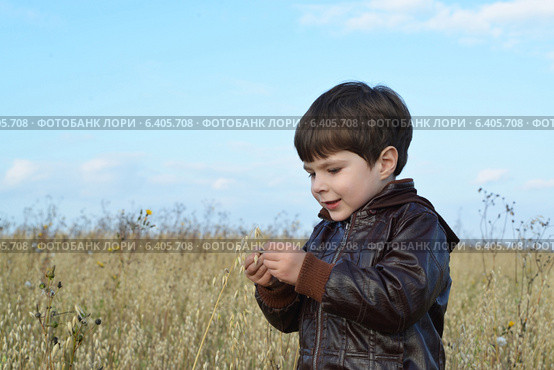 Мальчик в поле овса. Стоковое фото, фотограф Ирина Ращектаева / Фотобанк Лори
