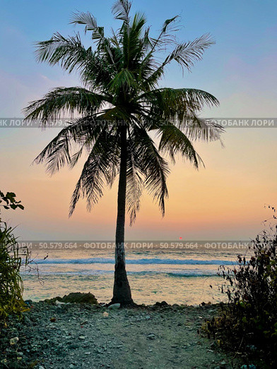 Maldives paradise scenery. Tropical aerial landscape, seascape with long jetty, water villas with amazing sea and lagoon beach, tropical nature. Exotic tourism destination banner, summer vacation. Стоковое фото, агентство Ingram Publishing / Фотобанк Лори