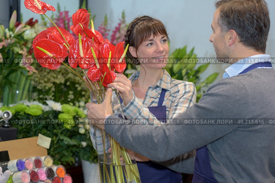 Male and female florists holding Anthurium. Стоковое фото, агентство Ingram Publishing / Фотобанк Лори