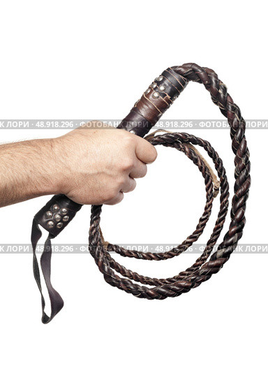 male hand holding brown leather whip isolated on white background. Стоковое фото, агентство Ingram Publishing / Фотобанк Лори