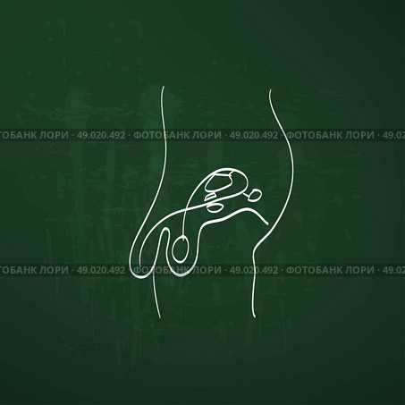 Male reproductive system sketch. Стоковая иллюстрация, агентство Ingram Publishing / Фотобанк Лори