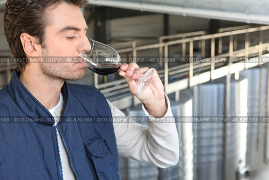 male wine producer. Стоковое фото, агентство Ingram Publishing / Фотобанк Лори