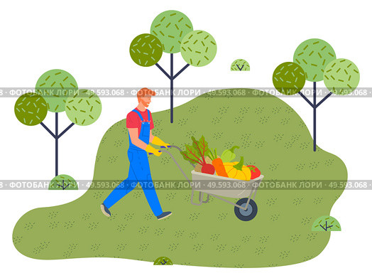 Man wearing overalls and ruber gloves pushing wheelbarrow full of fresh eco organic vegetables, autumn crop. Red beet, carrot, pumpkin, pepper, tomato. Farming works, agriculture, summer season. Man wearing overalls and ruber gloves pushing wheelbarrow full of fresh organic vegetables. Стоковая иллюстрация, агентство Ingram Publishing / Фотобанк Лори