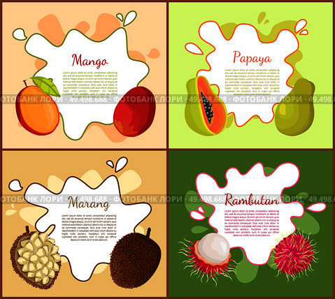 Mango and papaya posters set with text sample. Tropical fruits vegetarian dieting food. Rambutan and marang slice, nutritious meal with info vector. Mango and Papaya Posters Set Vector illustration. Стоковая иллюстрация, агентство Ingram Publishing / Фотобанк Лори
