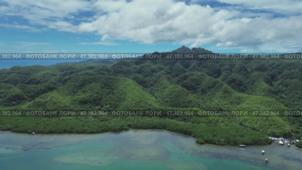 Mangrove sea landscape in tropical coastal region. Стоковое видео, видеограф Михаил Коханчиков / Фотобанк Лори