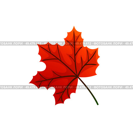 Maple leaves and autumnal symbol icon vector. Natural botanical decorative elements, fall foliage autumn trees in park. Signs of winter approaching. Maple Leaves and Autumnal Symbol Isolated Icon Vector. Стоковая иллюстрация, агентство Ingram Publishing / Фотобанк Лори