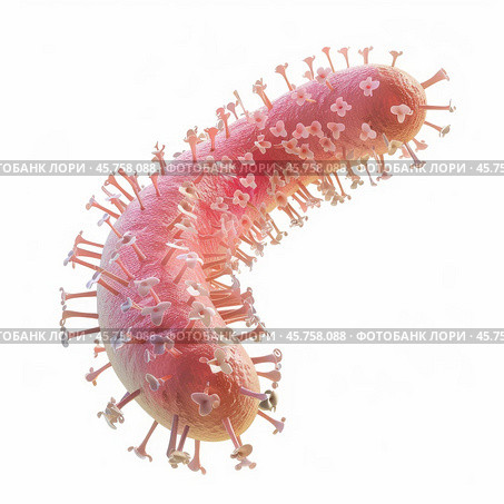 Marburg virus infecting host cell showing filamentous structure. Стоковое AI-изображение, AI-художник Иван Рябоконь / Фотобанк Лори