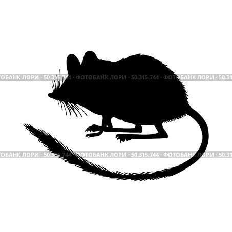 Marsupial Jerboa Silhouette. Smooth and clean lines. High detailed Marsupial Jerboa silhouette. Vector Illustration.. rodents silhouettes. Стоковая иллюстрация, агентство Ingram Publishing / Фотобанк Лори
