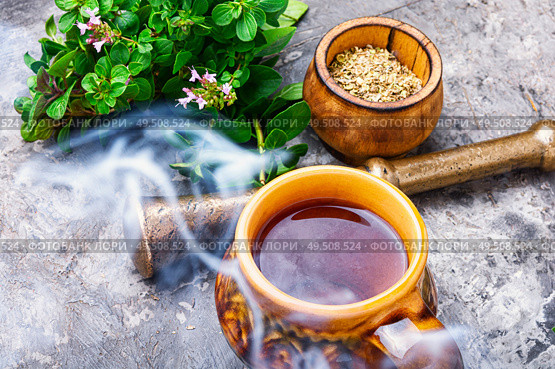 Medicinal tea from marjoram leaves.Herbal tea with oregano.. Fresh and dried oregano herb. Стоковое фото, агентство Ingram Publishing / Фотобанк Лори