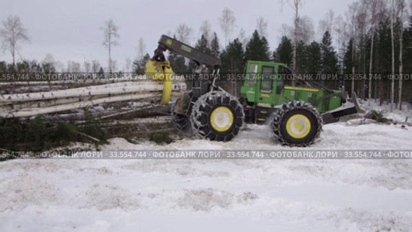 Механизированная вырубка леса. Трелевочный трактор John Deere 748H в работе. Mechanized felling clearing. John Deere 748H skidder at work. (2020 год). Редакционное видео, видеограф Евгений Романов / Фотобанк Лори
