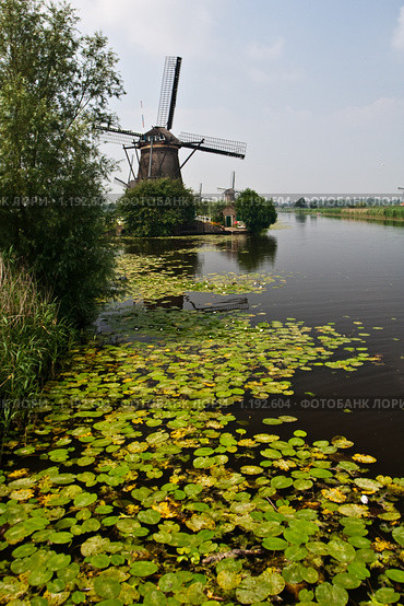 Мельница на канале (2009 год). Стоковое фото, фотограф Петр Кириллов / Фотобанк Лори