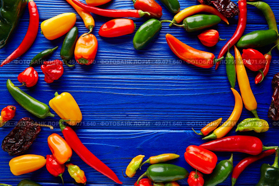 Mexican hot chili peppers colorful mix habanero poblano serrano jalapeno blue background. Стоковое фото, агентство Ingram Publishing / Фотобанк Лори