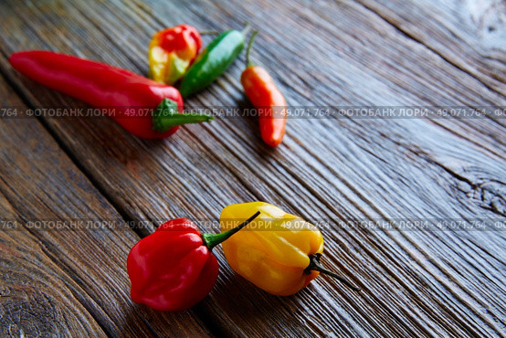 Mexican hot chili peppers colorful mix habanero poblano serrano jalapeno sweet on wood. Стоковое фото, агентство Ingram Publishing / Фотобанк Лори