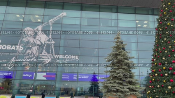 Международный аэропорт Домодедово имени М. В. Ломоносова. Новогодняя ель. Россия, город Москва (2023 год). Редакционное видео, видеограф Щеголева Ольга / Фотобанк Лори