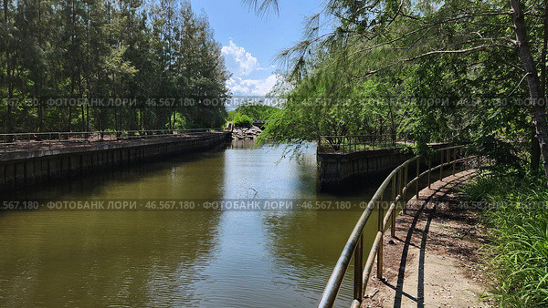 Международный экологический парк Сириндхорн (Sirindhorn International Environment Park). Ча-Ам, Пхетбури, Таиланд. Таиланд. Редакционное фото, фотограф lana1501 / Фотобанк Лори