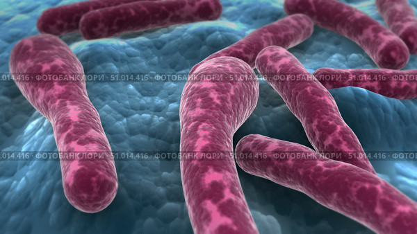 Microscopic view of Clostridium botulinum bacteria. Стоковое фото, фотограф Stocktrek Images, Inc. / ТАСС / Фотобанк Лори