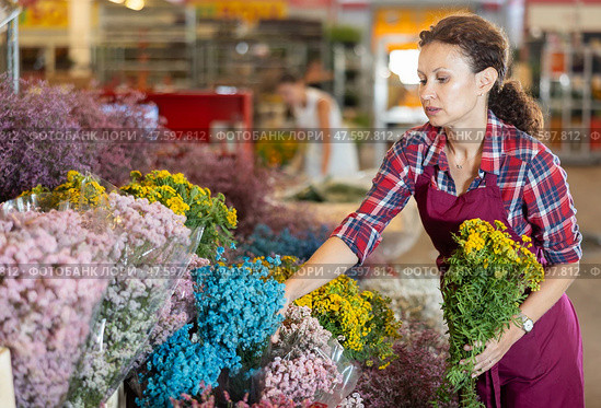 Middle-aged saleswoman holding bouquet of dry flowers in plants market. Стоковое фото, фотограф Яков Филимонов / Фотобанк Лори
