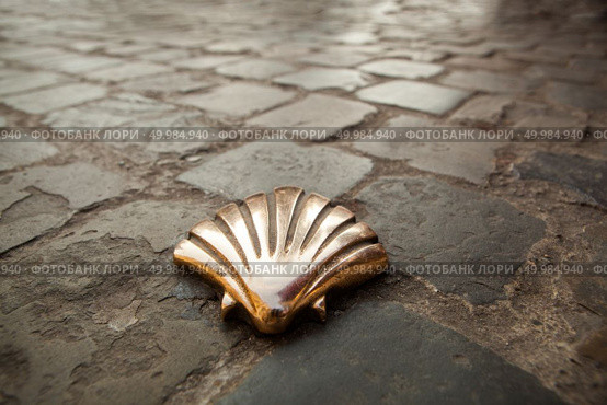 Milestone in shape of a shell inserted in the pavement, brussels. St James shell in Brussels. Стоковое фото, агентство Ingram Publishing / Фотобанк Лори