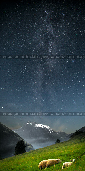 Milky Way. goats in the mountains. in the picturesque fjords of Norway. Стоковое фото, агентство Ingram Publishing / Фотобанк Лори