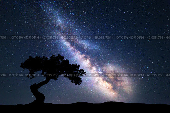 Milky Way with alone old tree on the hill. Milky Way with alone old tree on the hill. Colorful night landscape with milky way, sky with stars and hills in summer. Space background. Amazing astrophotography. Beautiful universe. Nature. Стоковое фото, агентство Ingram Publishing / Фотобанк Лори