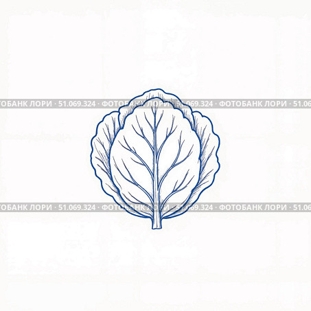 Minimalist doodle of a cabbage on white background, artistic simplicity. Стоковое AI-изображение, AI-художник Александр Калинин / Фотобанк Лори