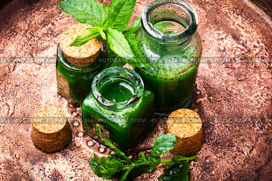 Mint essential oil in a glass bottle.Healing plants. Aroma oil with peppermint. Aroma oil with peppermint. Стоковое фото, агентство Ingram Publishing / Фотобанк Лори
