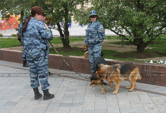 Минутка отдыха (Кинологи с собаками перед репетицией парада Победы) (2010 год). Редакционное фото, фотограф Валерия Попова / Фотобанк Лори